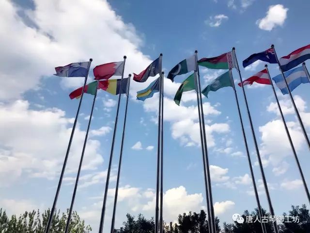 1675411003754295.jpg 265.jpg