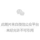 煙花(huā) 圖片